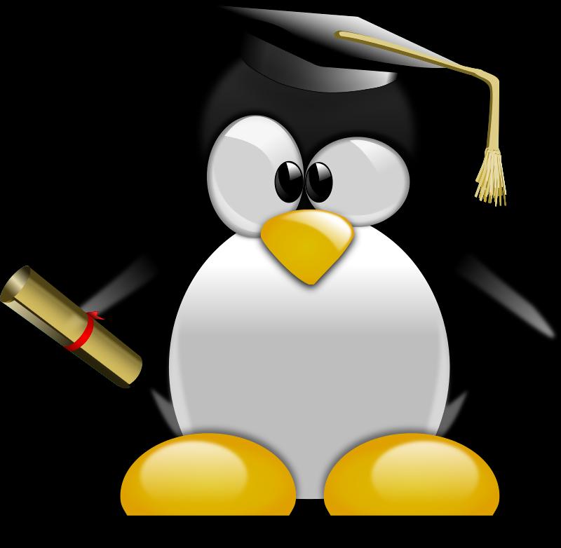 掌握好这些Linux命令常用项，升职加薪不用愁