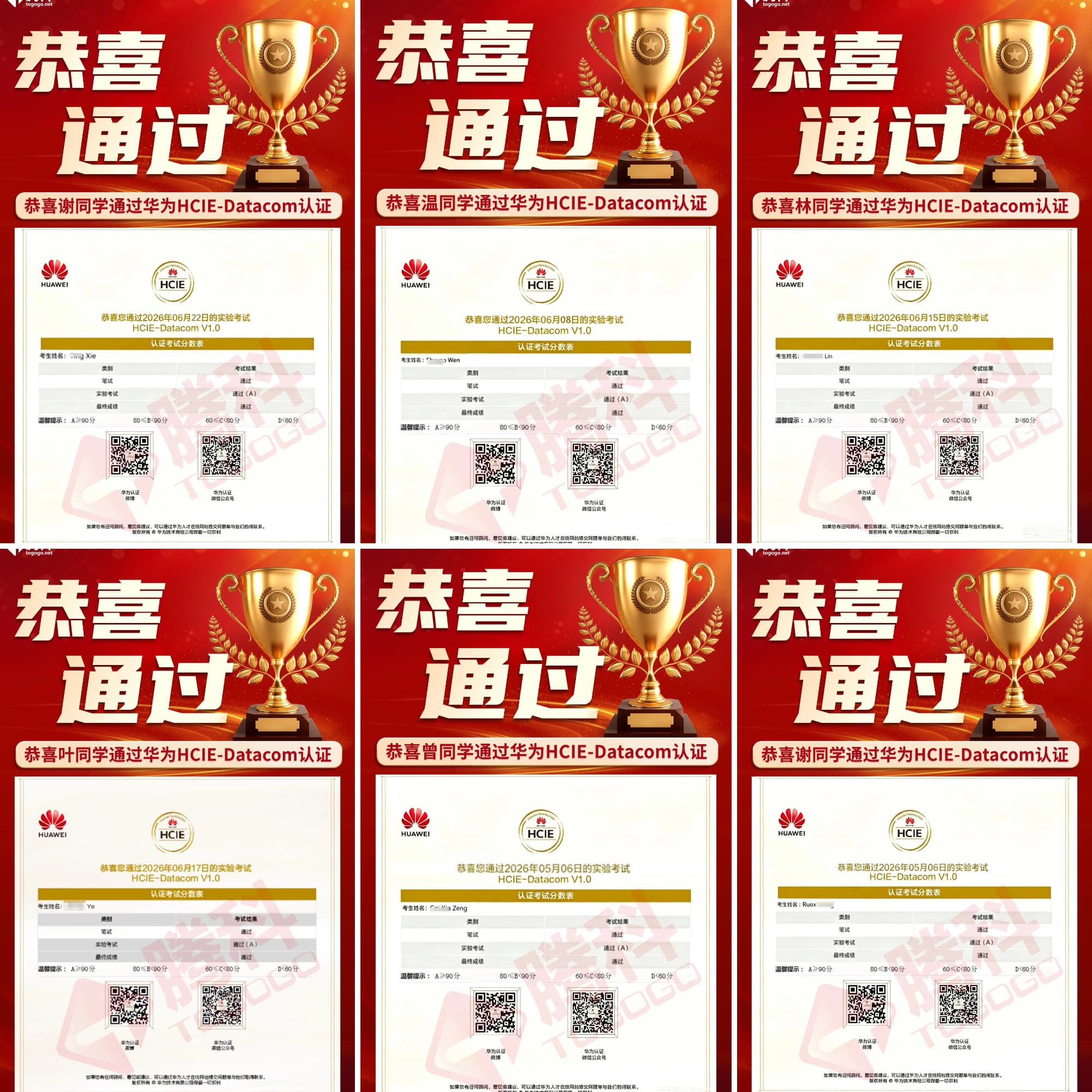 数通Datacom喜报