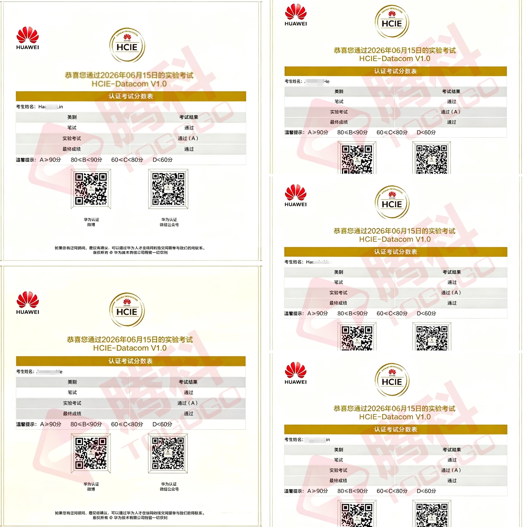 数通Datacom喜报