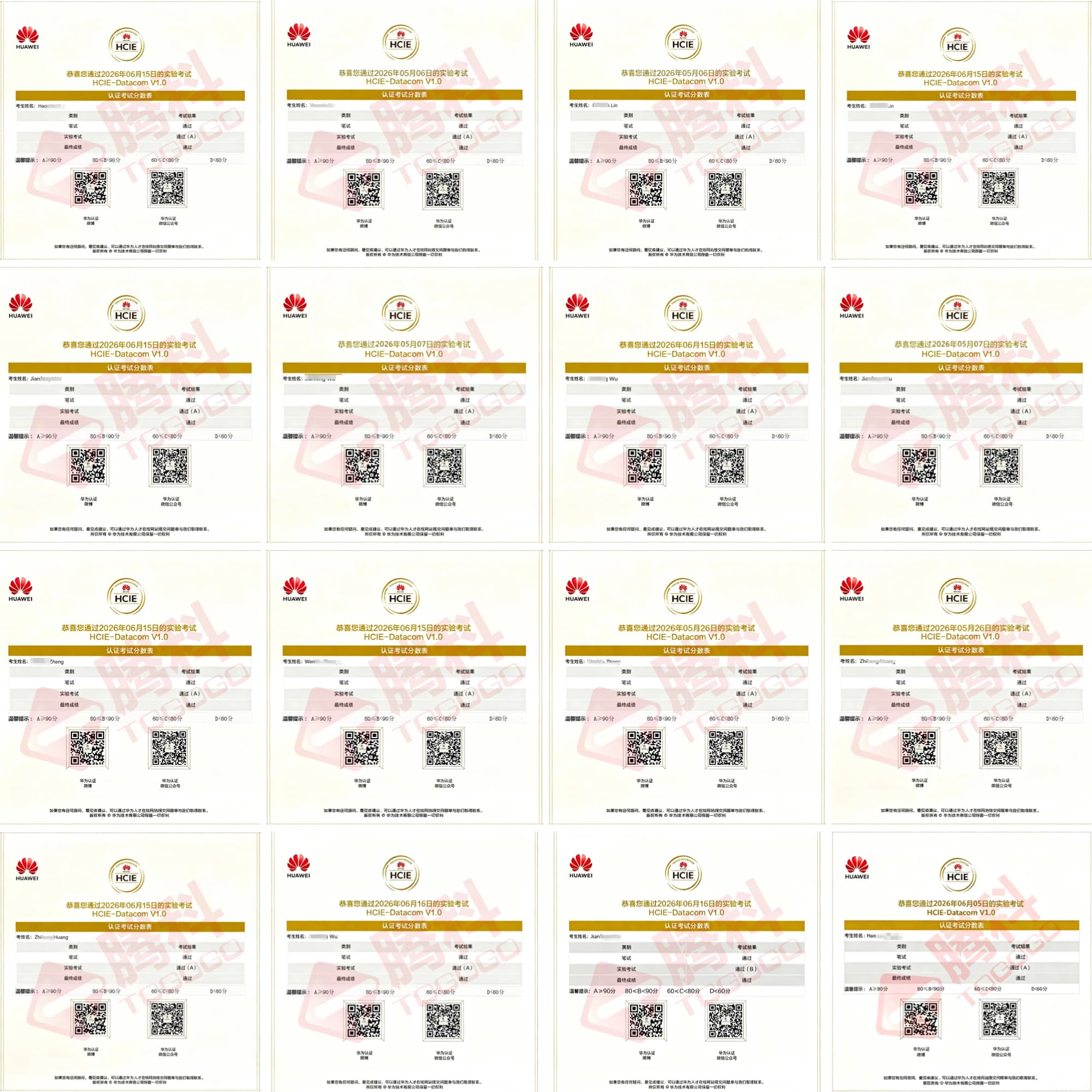 数通Datacom喜报