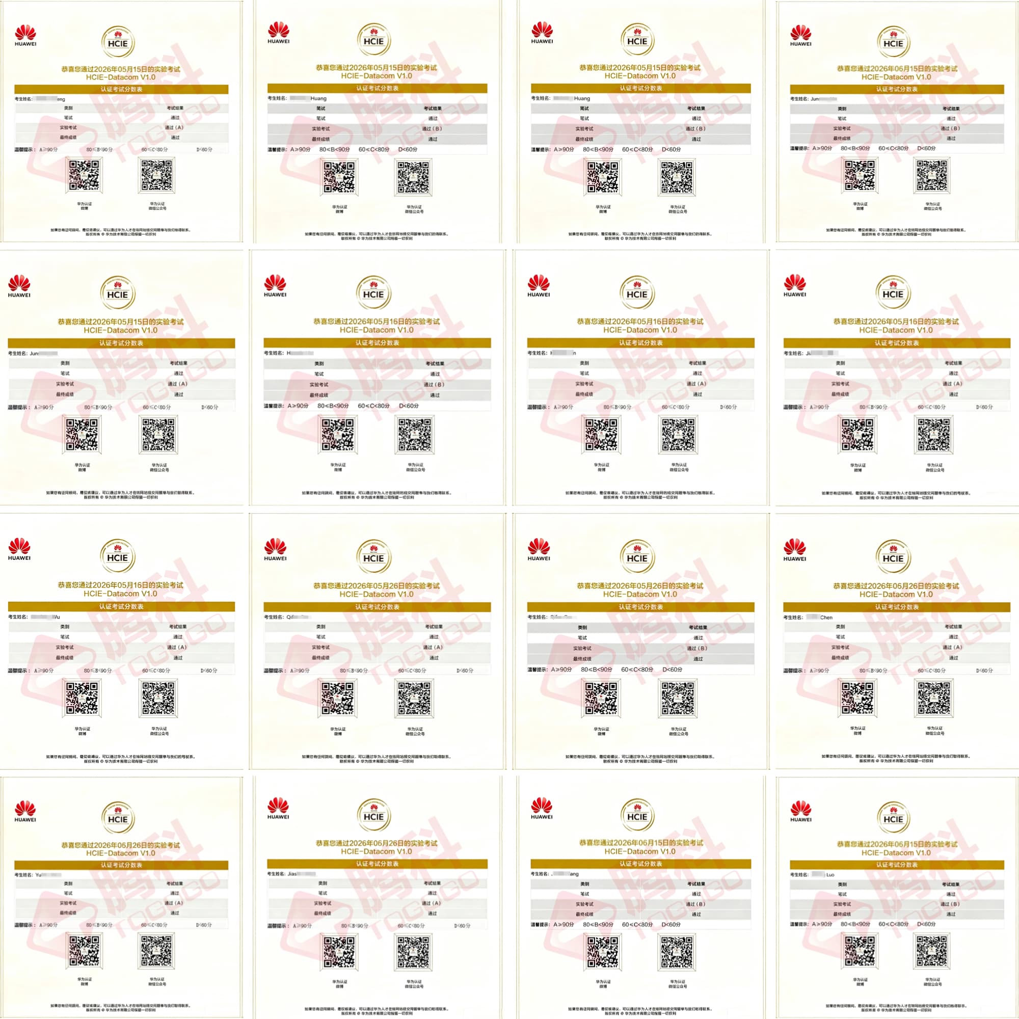 数通Datacom喜报