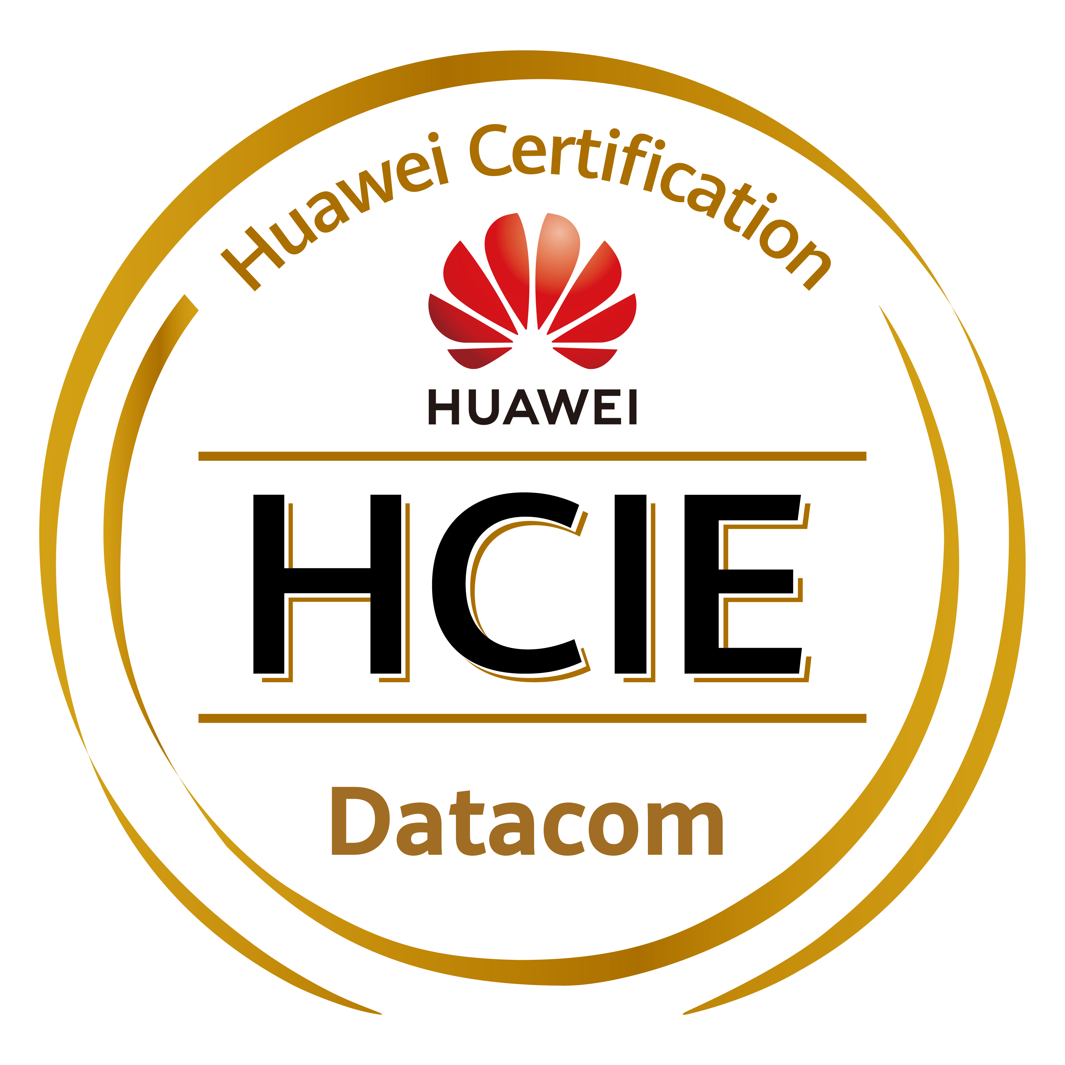 HCIE